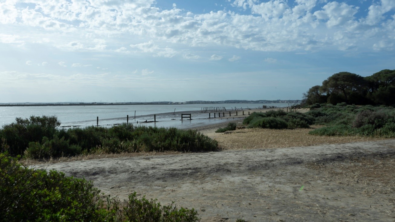 Desembocadura del río Guadalquivir en Doñana. Foto iStock