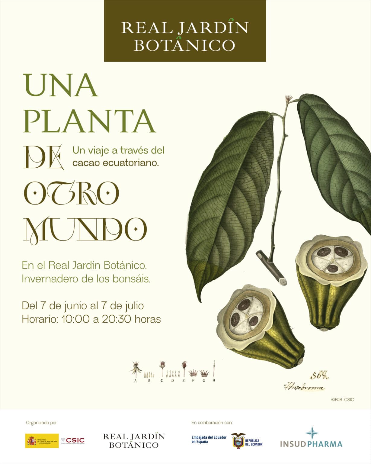 El Real Jardín Botánico del CSIC presenta la exposición "Una planta de otro mundo" sobre el cacao ecuatoriano, con el asesoramiento del Instituto de Historia