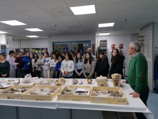 Un año más los alumnos del IES Alonso de Berruguete visitan el CCHS para conocer la carrera investigadora en las Ciencias Humanas y Sociales