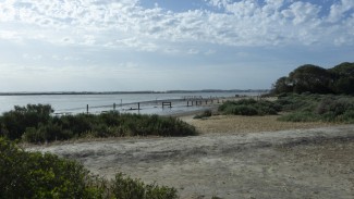 La ciudad de Tartessos pudo estar cerca de la actual desembocadura del río Guadalquivir, en lo que es hoy Doñana 