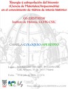 Charla-coloquio: "Sinergia y extrapolación del binomio (Ciencia de Materiales/Arqueometría) en el conocimiento de vidrios de interés histórico"